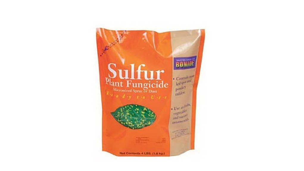 micronized sulfur fungicide application